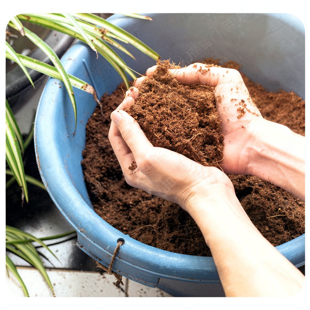 Brique de substrat de fibre de - Substrate Coconut Fiber avis et prix